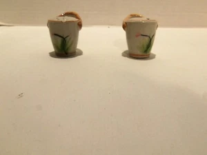 CERAMIC MINI PAILS WITH FLOWERS SALT & PEPPER SHAKERS VTG 70-80'S JAPAN 1 1/2 IN - Imagen 1 de 4