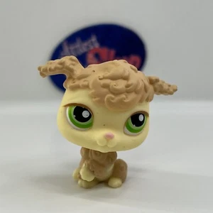 PUDEL HUND #146 - Authentic Littlest Pet Shop - Hasbro LPS - Bild 1 von 4