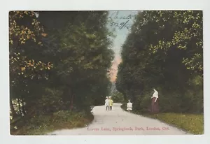 London Ontario Postcard Springbank Park Lovers Lane Unposted - Picture 1 of 2