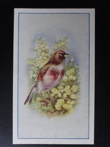 No.21 LINNET - Birds (Series of 25) by P.J. Carroll & Co 1939 - Picture 1 of 1