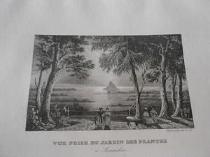 Stahlstich 1838 - Ansicht Pflanzengarten in Avranches Dpt de la Manche - Bild 1 von 1