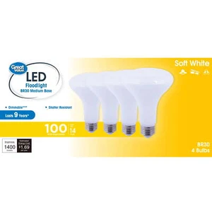 LED Floodlight Bulb, 16W(100W Equivalent) Soft White BR30 with E26 Base, 4PK - Picture 1 of 6