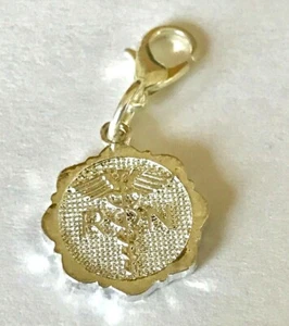 Krankenpflege RN Caduceus Charm Clip auf Krankenschwester Abschluss Geschenk versilbert - Bild 1 von 6