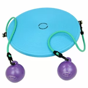 IsoDisc Balance Pilates Board Therapiekreisel + Expander Tubes & Gewichtsbälle - Bild 1 von 5