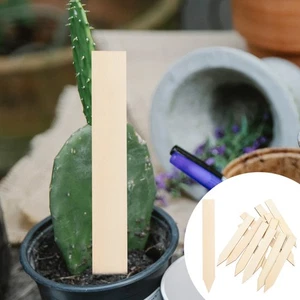 100 pcs Wood Plant Labels Wood Plant Decors Garden Flower Labels Garden Decor - Picture 1 of 12
