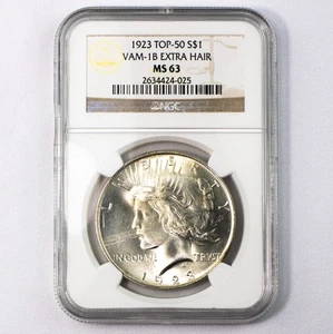 1923-P VAM-1B Extra Hair Peace Silber Dollar 1 $ PCGS MS63 - Bild 1 von 2