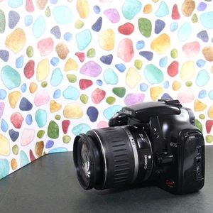 Recomendado Popular SLR Canon Eos Kiss Digital - Imagen 1 de 8