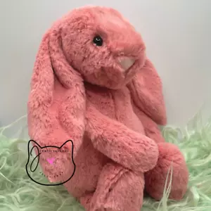 Jellycat BASHFUL SORREL BUNNY RETIRED Small New NWT Little Soft Plush Stuffed - Picture 1 of 9