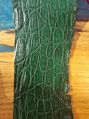 Genuine Crocodile Skin, Italian Crocodile Leather, Exotic Leather For Belt  • 41.72€