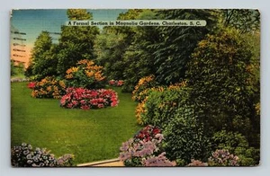 The Formal Section Magnolia Gardens Charleston South Carolina SC Postcard - Picture 1 of 2