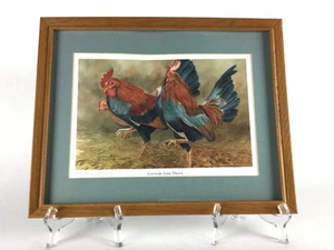 Rooster Country Line Dance Framed Painted Print Wall Art Signed 1993 - Picture 1 of 7