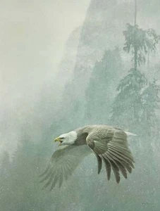 Robert Bateman - Vigilance - Bald Eagle - Fair Condition - S/N Litho - Signed - Picture 1 of 1