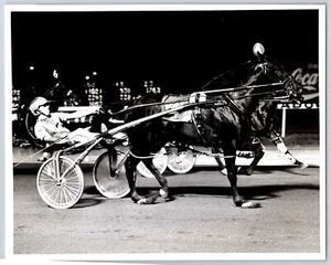 Geschirr Racing Trotter Pferderennen Easy Goer Meadowlands Rennbahn 8x10 Foto  - Bild 1 von 2