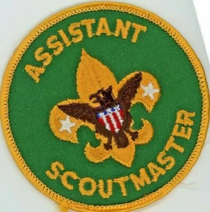 Patch Boy Scout - Assistente Scoutmaster X8 - Foto 1 di 2