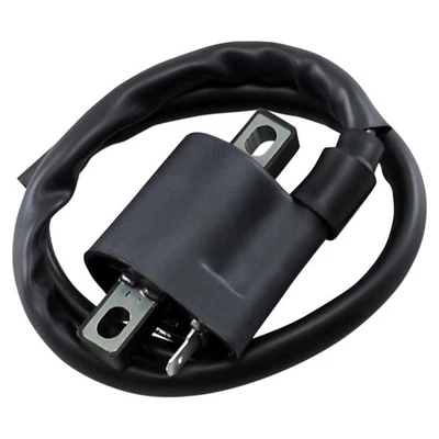 Yamaha BR250T BRAVO LT 1992 - bobinas de encendido SPI de pista larga Foto 1 de 2