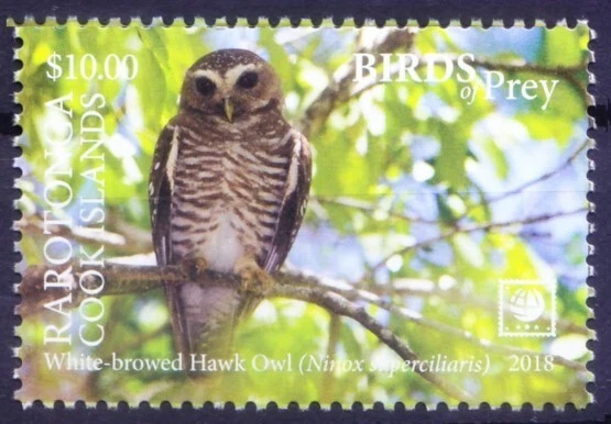 Islas Cook, Rarotonga 2018 MNH, búho halcón ceja blanca (p), aves rapaces Foto 1 de 1