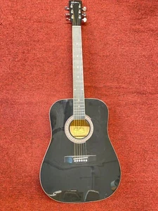 ESTEBAN ACOUSTIC GUITAR - Picture 1 of 5