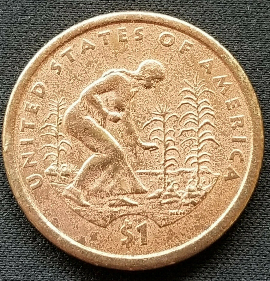 1 dollar gold coin 2009,obverse clad layer missing - Image 1 of 4