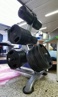 attrezzi palestra technogym Bicipiti Tricipiti Isotonic Pulley Panca Pesi Dischi - Immagine 1 di 4