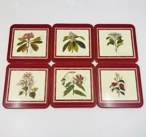 Vintage RHS Collection by Pimpernel Botanische Blumen Quadratische Kork Untersetzer 6 Stck. ROT - Bild 1 von 11
