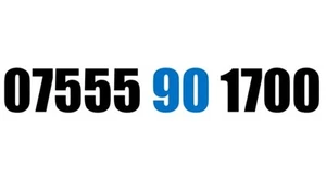 GOLD EASY MEMORABLE MOBILE PHONE NUMBER DIAMOND PLATINUM SIM 079095 99695 - Photo 1/1