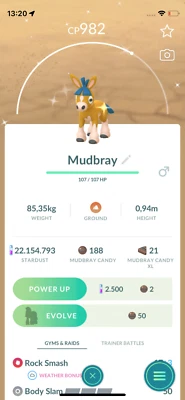 ✨Pokemon | SHINY City Safari 2025 Mudbray | Read The Description!!✨ - Image 1 of 2