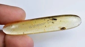 21.75 Ct 100% Natural Yellow Amber Insect Inclusion Certified Loose Gemstone - Picture 1 of 6