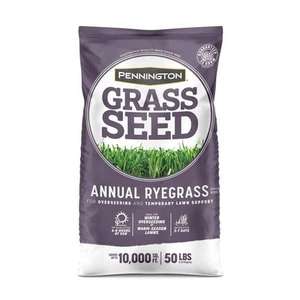 Annual Ryegrass 50 lbs. 10,000 sq. ft. Grass Seed - Picture 1 of 12