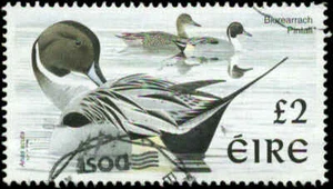 Ireland Scott #1111  Used - Picture 1 of 1