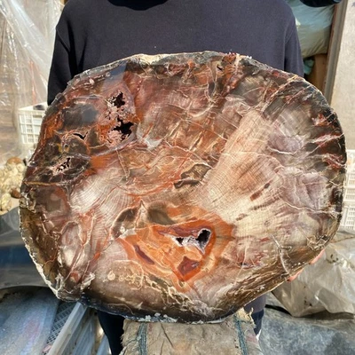 33.9lb Rare Natural petrified wood rough silicified wood specimen healing - Image 1 of 4