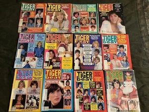 Vintage TIGER BEAT Magazine Full YEAR 1979 12 Months Issues - Picture 1 of 3