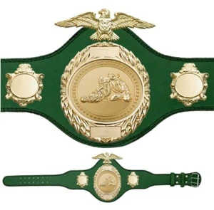 New Jiu Jitsu Championship Belt Leather Strap High Quality Belt Adult Size - Picture 1 of 2