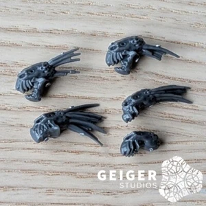 Warhammer 40K Battlefield Trophies Bits | Tau Kroot 5pc Skulls Set - Foto 1 di 1