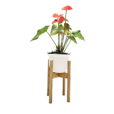 Pflanzenständer Blumentopf Ständer Wohnzimmer Flur Schlafzimmer aus Bambusholz - Bild 1 von 3