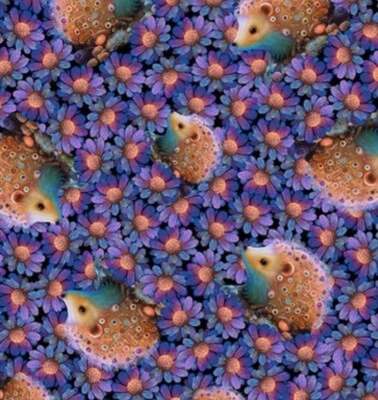 ¡Jardín nocturno" erizos, erizos, tela floral! 1yd•BTY•100% algodón•¡IMPRESIONANTE! Foto 1 de 4