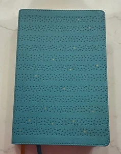 NIV Quest Study Bible Old and New Testament by Zondervan Blue Leather Cover - Picture 1 of 13