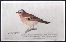 CAPERN-BRITISH & FOREIGN BIRDS (P54 PLAIN BACK)-#29- CHAFFINCH 