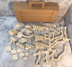 Fisher Price Design A Saur Dinosaur Bones Set 32 Pieces With Case No Instruction - Picture 1 of 14