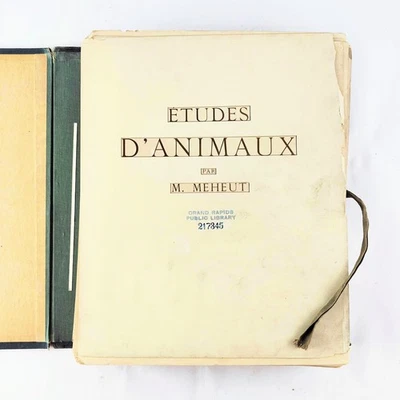 Portfólio de desenhos Mathurin Meheut 98 gravuras de estudos animais Etude d'Animaux - Imagem 1 de 4