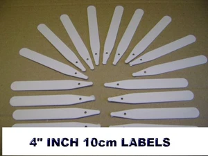 100 White Plastic Plant Labels 4 inch Sticks Garden Markers SEE HYPER LINK BELOW - Picture 1 of 20