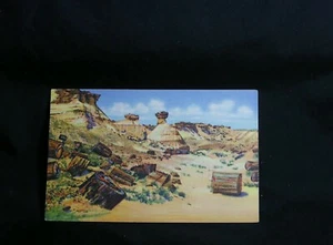 vtg. Arizona Postkarte - Versteinerter Wald - Versteinertes Holz und Erosionen - kein Pos - Bild 1 von 2