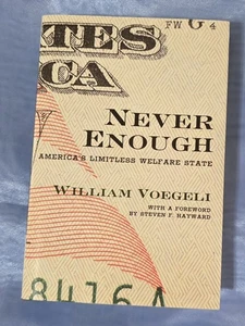 Never Enough: Amerikas grenzenloser Wohlfahrtsstaat (gebundenes oder im Etui) - Bild 1 von 2