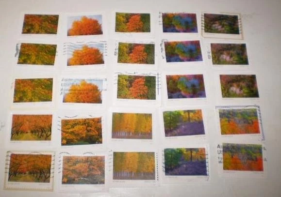 25 SELLOS FOREVER SURTIDOS COLORES OTOÑO USADOS EN PAPEL Foto 1 de 1