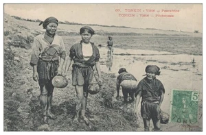 V7741/ Tonkin - Vietri Vietnam Indo-chine AK ca.1910 - Picture 1 of 2