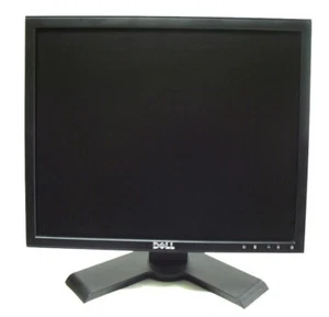 Dell P190Sb 19 Inch LCD Monitor - Picture 1 of 1