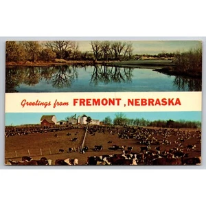 AK Grüße aus Fremont Nebraska 0686 - Bild 1 von 2