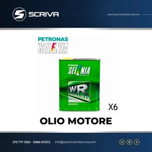 Öl Selenia Wr Forward SAE 0W-30 Acea C2 Diesel (6 Liter) - Bild 1 von 1