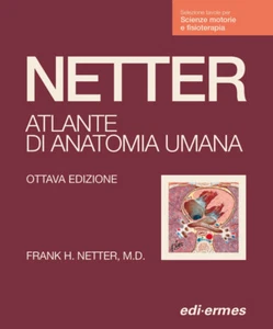Netter. Atlante anatomia umana. Scienze motorie e fisioterapia - Netter Frank H. - Foto 1 di 1