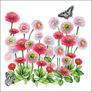 20 Servietten Papier 33x33cm 3-lagig - hochwertige Einweg Papierservietten - Bild 1 von 1