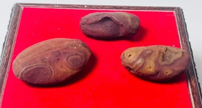 Piedra Corazón Naga Natural 3 Piezas Leklai Naga Khong Río Mágico Amuleto Roca Curativa Foto 1 de 4